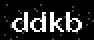 verify code