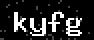 verify code