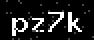 verify code