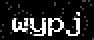 verify code