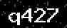 verify code