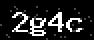 verify code